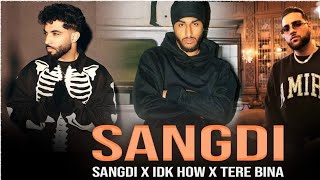 Sangdi X Idk How X Tere Bina  Sreverb  Karan Aujla  Sukha  Tegi Pannu  Mashup [upl. by Aikemehs]