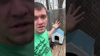 I Bought the Cheapest Dog House on Amazon Jesus GrayGang [upl. by Netaf]