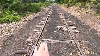 Golf Ball Hunting at a Bridge Awesome Idea [upl. by Randolph]