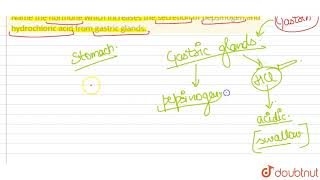 Name the hormone which increases the secretion of pepsinogen and hydrochloric acid from gastric [upl. by Oby791]