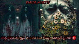 ആ ഇരട്ട സഹോദരിമാർ ആത്മാക്കൾ ആയത് എങ്ങനെRigor MortisHorrorThrillerTwisted movie explained [upl. by Heathcote]