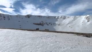 Scialp Monte Ocre 2204 mt da Casamaina 16 febbraio 2014 [upl. by Ayekehs]