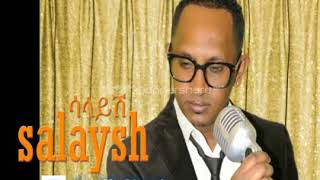 Bizuayehu Demissie Salaysh Ethiopian Music [upl. by Kaleb]