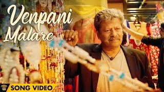 The Romance Of Power Paandi  Venpani Malare Male Song Video  Power Paandi  Rajkiran  Dhanush [upl. by Rosio854]