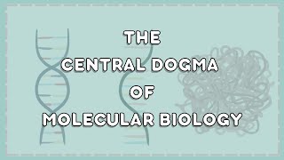 Siyensikula  Central Dogma of Molecular Biology  PHS SDO City of San Fernando [upl. by Dlanor]