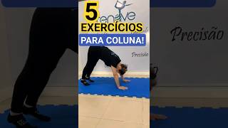 EXERCÍCIOS PARA SUA COLUNA [upl. by Jeanna133]