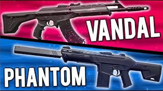 hindi Battle of the Rifles Phantom vs Vandal  Which Rifle Should You Master [upl. by Sicard885]