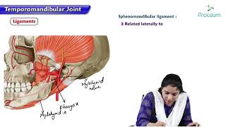 Temporomandibular Joint  TMJ Anatomy  Mandibular Joint [upl. by Ahsinet]