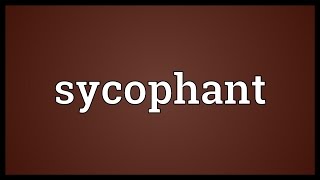 Sycophant Meaning [upl. by Russon]