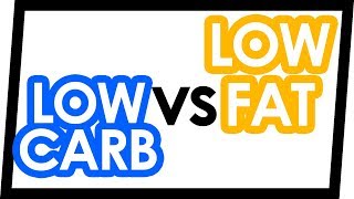 LowCarb vs LowFat Diets for Weight Loss [upl. by Yekcir897]