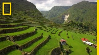 Soar Over the Lush Rice Terraces of the Philippines  National Geographic [upl. by Iznik]