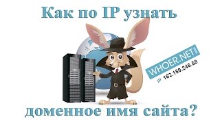 Как узнать доменное имя сайта по IPадресу [upl. by Legnaleugim132]