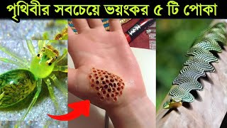 বিশ্বের শীর্ষ ৫টি সবচেয়ে বিপজ্জনক বাগ 😮 এদের দেখলেই দৌড়ে পালান  Morichika video channel [upl. by Ecila475]