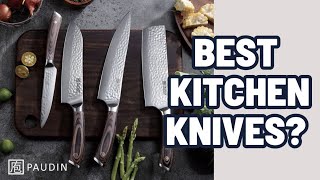 UNBOXING Ultra Sharp Paudin Kitchen Knives Review [upl. by Kursh]