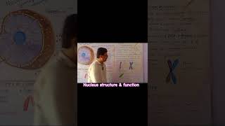 Nucleus structure amp function foryou viralvideo viralshorts trending trendingshorts biology [upl. by Desimone]