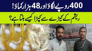 The process of turning silkworms into cloth  See full details in this video  Inquilab e Zamana [upl. by Stutman]