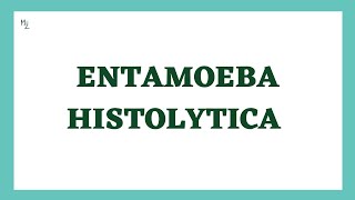 Entamoeba histolytica life cycle  morphology  Laboratory diagnosis  full explained  medzukhruf [upl. by Neiviv]