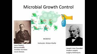 Introduction to Microbiology Microbial Growth Control in the Environment [upl. by Jorry433]