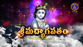 శ్రీమద్భాగవతం  Srimad Bhagavatham  Kuppa Viswanadha Sarma  Tirumala  03022024  SVBC TTD [upl. by Aurel]