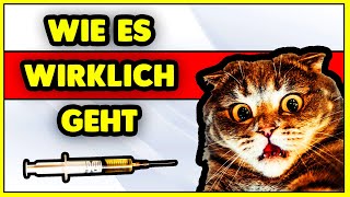 SQL Injection Anfängeranleitung für Hacker extrem gefährlich [upl. by Tiffie]