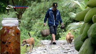 I MADE ATCHARANG KAPAMPANGAN AND COOKED TINOLA MUSSELS  HUMBLE COUNTRYSIDE LIFE  EPISODE 93 [upl. by Eninaj998]