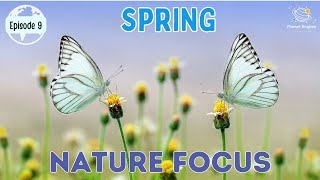 Spring  Nature Focus for Kindergarten  EYFS  Episode 9 [upl. by Gabby297]