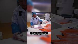 Why Does FarmRaised Salmon Look So White Shocking Truth salmon foodfacts [upl. by Sheffie]