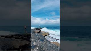 Waves of Freedom at the Clovelly Beach Sydney Music volanicky yellowflowers clovellybeach [upl. by Diella]