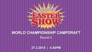 World Championship Campdraft  Round 5 [upl. by Rubens372]