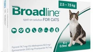 How to apply BROADLINE for cats [upl. by Yemarej460]