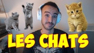 LES CHATS   BLEDARD STORY 5 [upl. by Barnie]