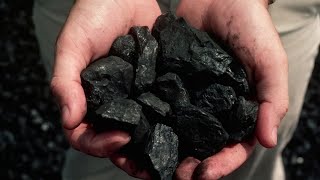 ‘We’re laughing our way to the bank’ on coal exports [upl. by Anaujahs]