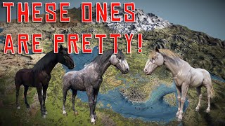 WHERE TO FIND ANDALUSIAN HORSE COATS  RED DEAD REDEMPTION 2 [upl. by Adnahsor]