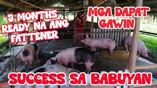 PIGGERY BUSINESS ✅ PAANO MAGING SUCCESSFUL SA PAG AALAGA NG BABOY  FATTENER O PATABAING BABOY [upl. by Aened]