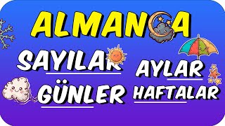 ALMANCA  SAYILAR GÜNLER HAFTALAR AYLAR [upl. by Nywg]