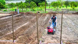 Saddleback Churchs Organic Farm in Orange County [upl. by Amikan]