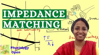 Impedance matching Physiology of hearing  Auditory system physiology mbbs 1st year lecture [upl. by Ruben]