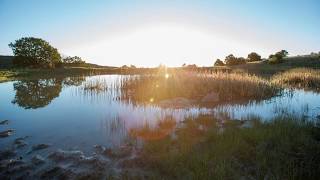 Philmont Timelapse 2017 [upl. by Ecnaled]