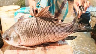 Fish Cutting Expert  Huge Rohu Fish Cutting amp Skinning Skills Live In Bangladesh [upl. by Adnik]