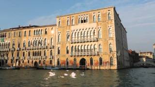 An introduction to Venice By Venice Prestige [upl. by Hendrika234]