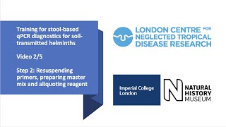 Step 2 Resuspending primers preparing master mix and aliquoting reagent [upl. by Akinaj]