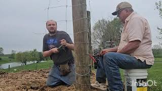 Cattle Fence Pull High Tensile Wire amp Post Wrapping Tricks [upl. by Georgia]