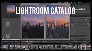 How to Create a Lightroom Catalog Adobe Lightroom CC Tutorial [upl. by Coit331]