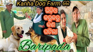 Kanhas Dog Farm Baripada l ସବୁଠୁ ଶସ୍ତାରେ Labrador ଆଉ German Shepherd l How To Start Dod Farm [upl. by Sheelagh]