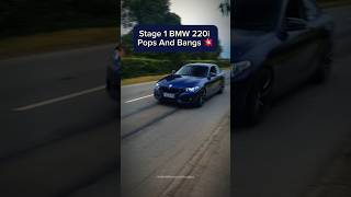 Stage 1 BMW 220i Pops And Bangs 💥 [upl. by Valentine]