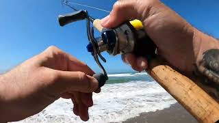 Santa Cruz Beach Surf Fishing Northern California Barred Surf Perch Fishing [upl. by Ataymik]