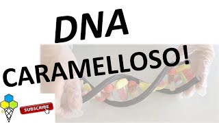 Costruiamo il modello del DNA con le caramelle [upl. by Aztilem]