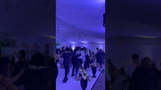 Wedding Reception Conga Line [upl. by Massie]