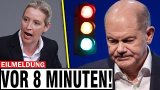 LIVE Alice Weidel besiegt Olaf Scholz🚨Afd ist bereit nachdem die Ampel ausgeht [upl. by Nottnerb862]