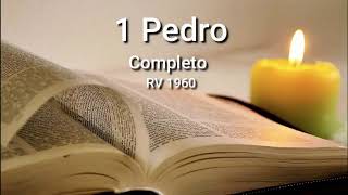 1 PEDRO Completo Biblia Hablada ReinaValera 1960 [upl. by Dorehs]